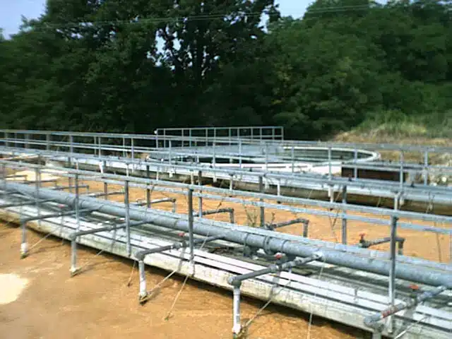 depurazione-biologica-acque-industriali